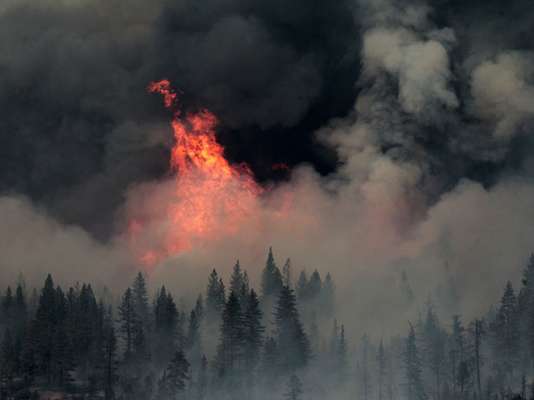 Docenas de edificios, entre ellos varias viviendas, fueron destruidos en los incendios forestales que arrasaban los alrededores de Manton, una comunidad del norte de California, dijeron los bomberos el martes por la noche.