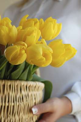 Leve um presente: não dê ouvidos às pessoas que dizem que não é preciso. Em geral, os pais dele não esperam ver você de mãos vazias. Se for conhecê-los durante um jantar, leve flores ou uma garrafa de vinho. Se o encontro for mais longo, prefira chocolates ou um livro sobre algo que lhes interesse