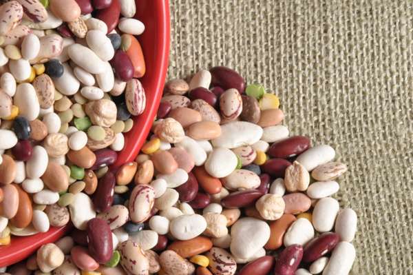 Sem dúvida, o feijão é uma das leguminosas mais consumidas no Brasil. O ingrediente-símbolo da culinária nacional forma, ao lado do arroz, a base da alimentação de quase todos os brasileiros. O sabor e a aparência podem variar bastante, de acordo com a espécie branco, rosinha, fradinho, rajado, preto.O feijão é consumido de norte a sul. Cada região do país tem seu prato típico. Conheça agora 11 tipos de feijão e saiba como aplicá-los na gastronomia