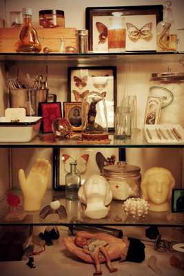 Biblioteca de anatomia mórbida, New York, Estados Unidos. Esse museu guarda de tudo um pouco. Desde objetos nojentos, bonecas velhas, e objetos de poetas até mesmo animais empalhados vestidos com trajes humanos