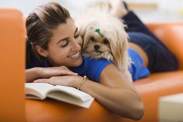 Ter um animal de estimação não é tão simples quanto parece. É preciso levar em conta tempo, disponibilidade, vontade e dinheiro na hora de escolher um pet. Por isso, o site Good House Keeping selecionou 10 perguntas que devem ser feitas antes de levar para casa um cachorro, gato ou ave. Confira a seguir - 1. Qual a média de vida do seu futuro pet? A expectativa de vida varia de um animal para outro. Pequenos cães tendem a viver entre 14 e 19 anos, enquanto os maiores vivem entre 10 e 15, de acordo com Kristi Litrell, gerente de adoção do Best Friedn Animal Society. Já os gatos podem viver de 15 a 20 anos, papagaios de 50 a 60 e hamsters têm uma vida curta, que dura apenas alguns anos. Se você é mais velho, pode considerar a adoção de um animal de estimação adulto. Se tem filhos pequenos, deve levar em conta a idade e nível de maturidade da criança antes de comprar um animal menor e mais delicado