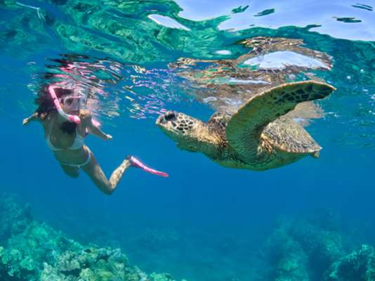 Cidade turística é um paraíso para quem gosta de entrar em contato com a água e com animais marinhos