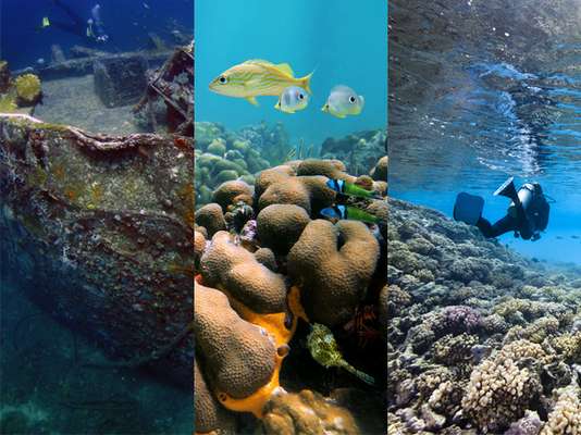 Descida at&eacute; o fundo do mar do Caribe para desbravar a vida marinha ganha ainda mais emo&ccedil;&atilde;o quando &eacute; feita em meio a embarca&ccedil;&otilde;es