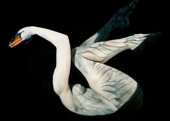 A artista plástica alemã Gesine Marwedel usa o corpo humano como base para suas pinturas. Homens e mulheres se tornam paisagens ou animais em seu trabalho, que usa as curvas humanas para dar ângulos aos desenhos; Gesine transformou uma mulher em um cisne