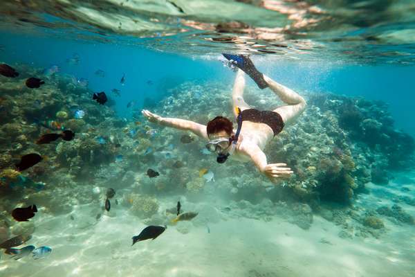 A prática de snorkel é perfeita para conhecer o mundo subaquático sem se afastar muito da superfície