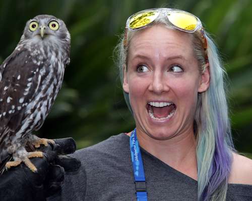 A organização do Aberto da Austrália divulgou novos fotos de tenistas com animais típicos do país; a americana Bethanie Mattek Sands reagiu assustada com uma coruja em seu ombro