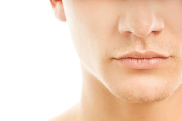 A boca é formada pelos dentes, língua, gengiva, palato céu da boca , bochecha e lábios. Esse grupo é responsável pelo início da digestão. Os dentes cortam os alimentos em partes menores. A saliva lubrifica e dilui a comida, além de iniciar a digestão de carboidratos complexos. A língua é responsável por empurrar os alimentos para a faringe.