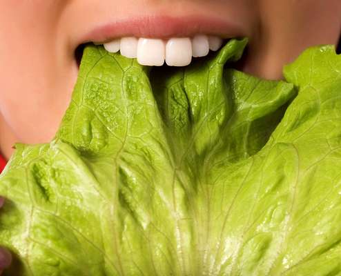 A dieta vegetariana não traz prejuízos à saúde