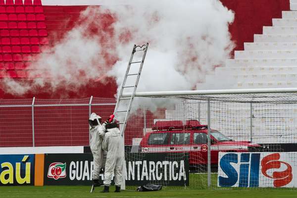 Bombeiros foram acionados para afastar abelhas do gramado do Moisés Lucarelli antes de jogo entre Ponte Preta e Oeste
