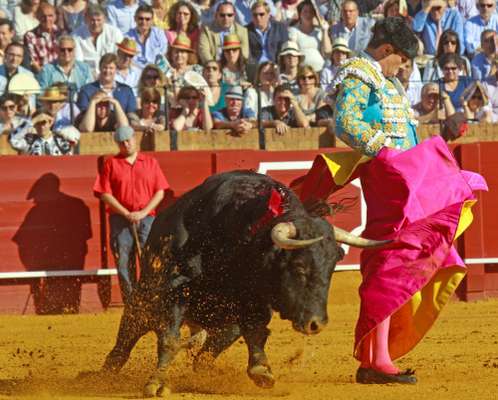 José María Manzanares es el torero de moda. El pasado sábado, el diestro se encerró en la plaza de la Maestranza (Sevilla) para enfrentarse a los seis toros de la tarde. Una proeza de la que muchos de los rostros más conocidos quisieron ser testigos.