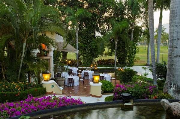 Restaurantes en puerto vallarta: tipos de cocina y ubicación Platos mexicanos gourmet