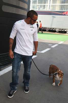 Lewis Hamilton passeia pelo paddock do Circuito de Montmeló com o buldogue Roscoe. O cachorro ganhou uma credencial VIP da Fórmula 1 após um pedido feito pelo piloto britânico ao compatriota Bernie Ecclestone, chefe comercial da Fórmula 1