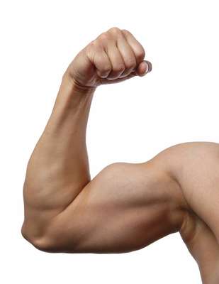 Para malhar o braço, o professor de musculação Bruno Bianchi apresenta nove exercícios para bíceps, tríceps e deltoide, que devem ser realizados de duas a três vezes por semana, com um a dois dias de repouso para os músculos. Os possíveis resultados (diminuição do percentual de gordura e ganho de massa muscular) são notados a partir de 8 a 12 semanas