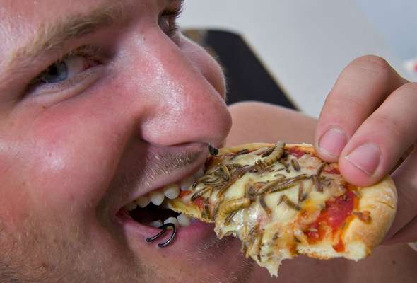 A pizza com larvas foi destaque em um festival na cidade suíça de Nyon