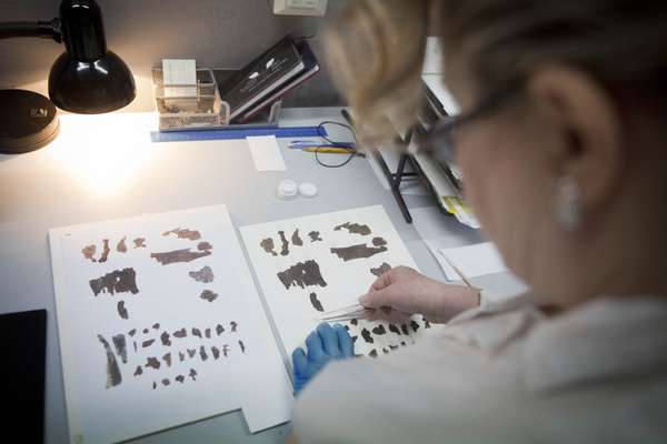 Funcionária do departamento de antiguidades de Israel trabalha em fragmentos dos manuscritos do Mar Morto em Jerusalém. Escritos principalmente sobre pele animal há aproximadamente 2 mil anos, os manuscritos são as primeiras cópias da Bíblia Hebraica encontradas, e a mais antiga evidência das raízes do Cristianismo e do Judaísmo na Terra Santa