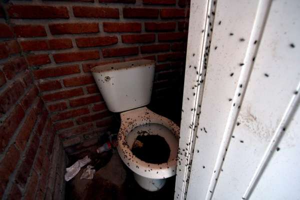 La Fiscalía General del Estado de Jalisco precisó que las víctimas -191 hombres, 45 mujeres y 39 menores de edad, pertenecientes a 42 familias- vivían dentro de la fábrica en condiciones infrahumanas.