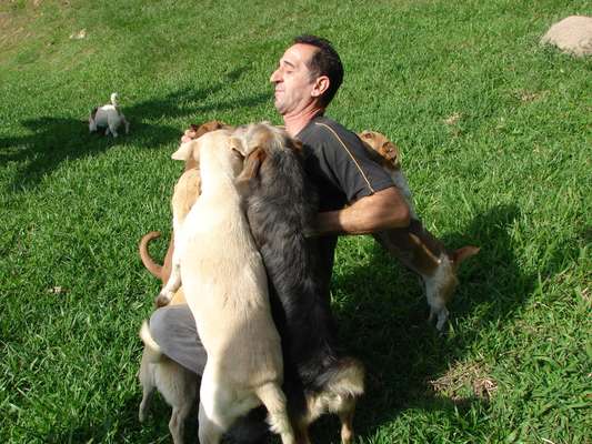 O ex-caminhoneiro Rogério da Silva cuida de 116 cães, que tem como filhos, em um racho no município de Gaspar, em Santa Catarina