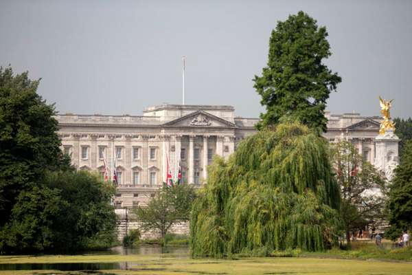La expectación que se vive a las puertas del palacio de Buckingham, en cuya entrada se exhibirá la partida de nacimiento del bebé de Kate y William de Inglaterra una vez haya nacido