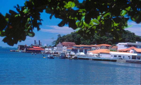 Baia de Babitonga - As praias estão entre os principais atrativos de São Francisco do Sul. A Baía de Babitonga é a maior navegável de Santa Catarina e se estende de leste a oeste. Por estar abrigada do vento de sul, suas águas podem ser navegadas com lanchas potentes, veleiros e até pequenas canoas. Nela ficam o porto da cidade, por onde chegam os cruzeiristas, que logo podem observar o Centro Histórico, outro atrativo turístico