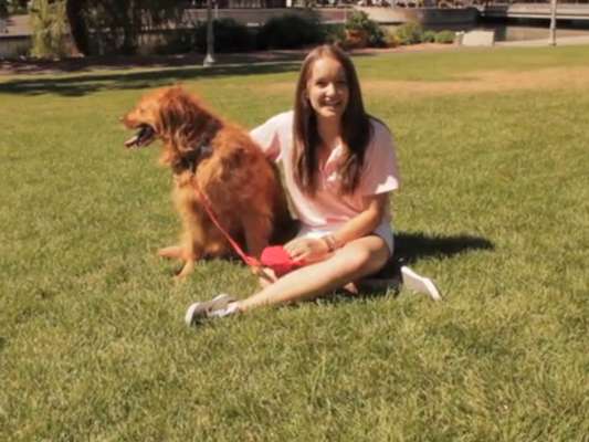 Brooke Martin, de 13 anos, é a responsável pela criação do dispositivo para conectar donos e cães à distância