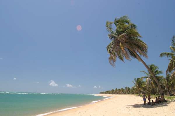 Praia do Gunga, a 40 km de Maceió: um dos melhores destinos turísticos de Alagoas