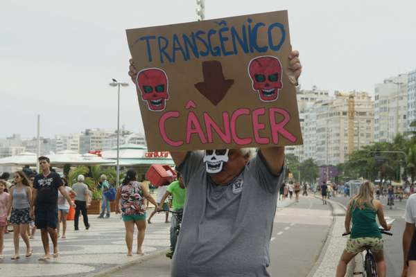 Organizada em 57 países, a Marcha Global contra a Monsanto reuniu diversos ativistas no Rio de Janeiro. De acordo com os organizadores, o objetivo do protesto é denunciar à sociedade os danos que as multinacionais do agronegócio, simbolizadas pela Monsanto, vêm causando no Brasil e no mundo