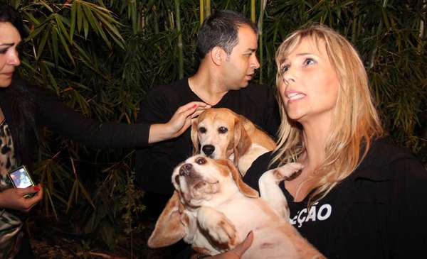 18 de outubro - Segundo relatos, ao menos de 200 cães foram retirados do instituto e páginas na internet foram criadas para adoção