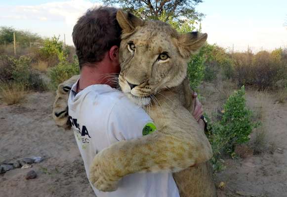 Uma leoa vivendo em seu selvagem habitat natural desenvolveu um laço afetivo com dois homens que a resgataram quando ainda era filhote. Sirga, uma leoa nascida na República do Botswana, na África, foi salva por Valentin Gruener e Mikkel Legarth, que se dedicam à conservação da espécie na região e a encontraram abandonada, sem comida, depois que seus irmãos foram mortos. Apesar de tratar os dois como iguais, a leoa mantém sua autonomia e caça em ambiente selvagem. Valentin e Mikkel esperam poder salvar mais animais com seu trabalho