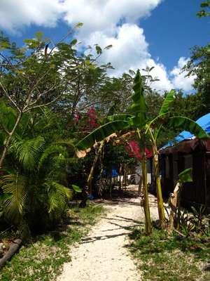 Calm Cabins en Tulúm, Quintana Roo. En este paradisiaco hotel situado en la reserva ecológica de Tulúm, en Quintana Roo, podrás deleitarte con exquisitos platillos elaborados a base de frutos y vegetales tropicales.