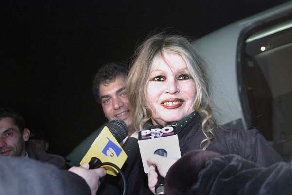 Brigitte Bardot - A atriz francesa é considerada o grande símbolo sexual dos anos 50 e anos 1960. Cabelos longos, loiros e dentes separados. Encerrou sua carreira com quase quarenta anos e se dedicou à defesa dos animais