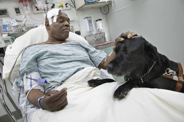 Cecil Williams e seu cão Orlando em hospital de Nova York horas após o acidente. Eles foram atingidos por um vagão do metrô de Nova York na terça-feira após o homem desmaiar a cair nos trilhos, mas ambos escaparam sem ferimentos graves