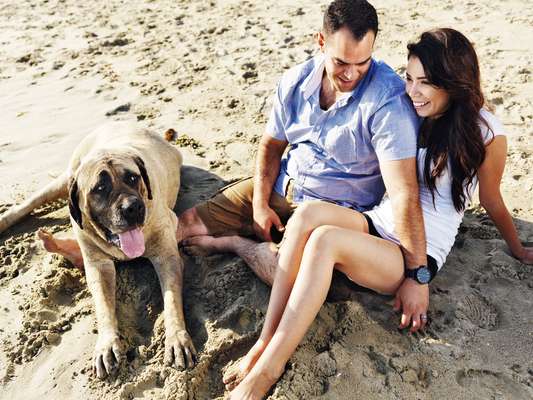 Comum durante a estação mais quente do ano, ida dos cachorros à praia pode comprometer a saúde dos próprios pets e também dos banhistas