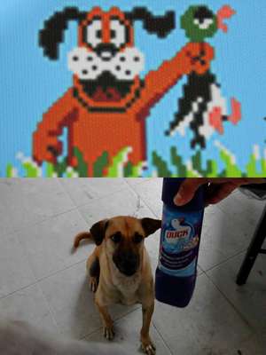 Anucha "Cha" Saengchart fundador da página de humor "Lowcost Cosplay" cria cosplays com objetos encontrados em casa como toalhas, acessórios básicos , farinha e outros.