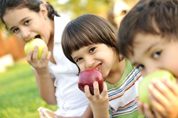 O lanche deve combinar uma fruta com casca, como a maçã, ou outra que tenha uma casca que saia com facilidade