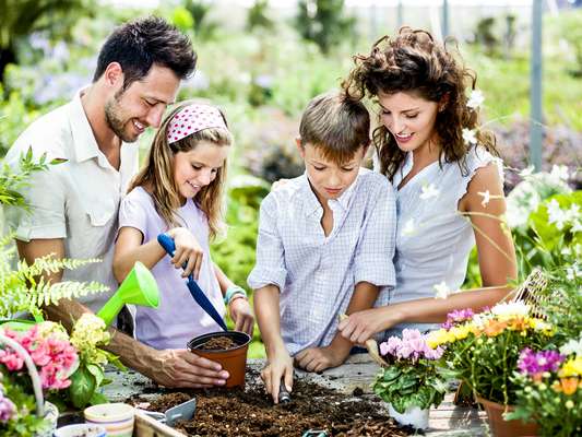 Cultivar uma hortinha, ver de perto a colheita e manusear os alimentos estimula a criança a comer mais frutas, verduras e legumes