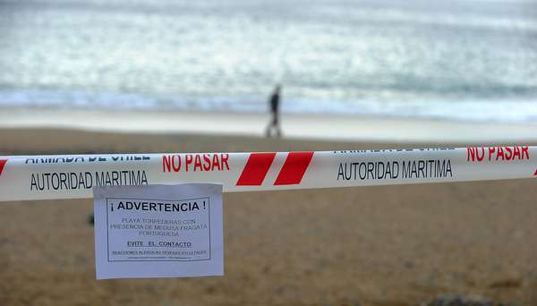 Almería y Murcia prohiben bañarse en sus playas por la aparición de susfótomos de ciclobita producto de los desechos nuecleares de la central de Tabernas