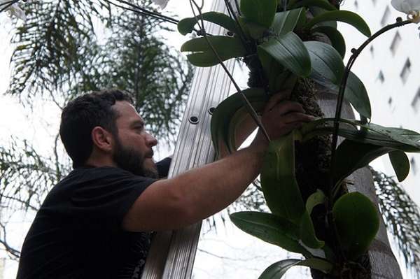 Diego Lahóz Ramos, professor e idealizador do Projeto Orquídeas na Vila, atuante desde 2011 no cultivo e plantação de orquídeas pelo bairro da Vila Madalena e por outras cidades de São Paulo e do Brasil