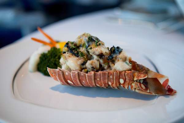 Aqualina – Este restaurante dos navios da Azamara Club Cruises oferece culinária italiana contemporânea, com destaque para a cozinha mediterrânea e frutos do mar. Entradas como ravioli de lagosta, atum selado envolto em vitela, seguidos de pratos principais como frutos do mar venezianos e linguado são algumas das opções