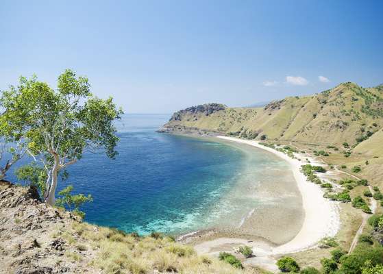 Capital do Timor-Leste recebeu seu primeiro cruzeiro com navio da P&O Cruises Austrália