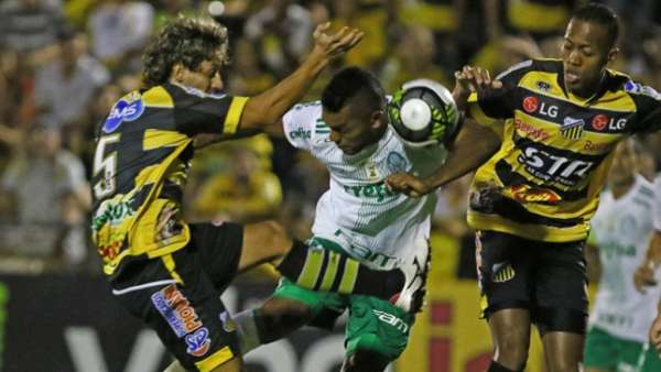 Palmeiras venceu o Novorizontino