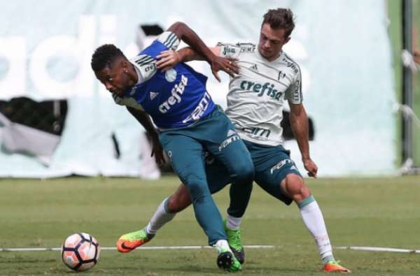 Treino do Palmeiras neste domingo