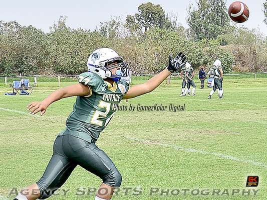 SEMANA 6: Tigres Coacalco 7-24 Potros Salvajes Verde