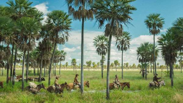 Zama (Lucrecia Martel) - ArgentinaO novo filme de Lucrecia Martel é a adaptação de um romance de Antonio Di Benedetto escrito nos anos 50. O protagonista é Don Diego de Zama, um oficial espanhol no século XVII que trabalha em Assunção e aguarda uma transferência para Buenos Aires.