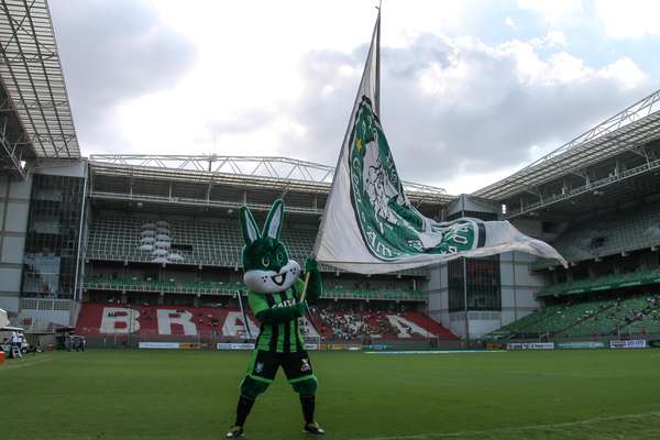 O América-MG adotou o coelho