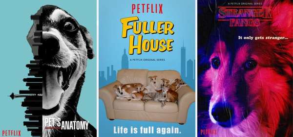 'Petflix' - Uma usuária do Twitter identificada como @frozengabs pôs em prática uma ideia super fofa: criar pôsteres de como seriam as séries da Netflix caso fossem estreladas por cachorrinhos. O material foi feito para uma campanha para um abrigo de animais, e traz algumas mensagens que incentivam a adoção de pets. Confira o resultado a seguir!