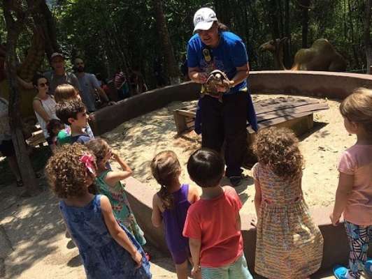 Passeio bom, educativo e barato para as crianças