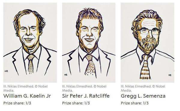 Willian Kailin, Peter Ratcliffe e Gregg Semenza, os vencedores do Nobel de Medicina em 2019