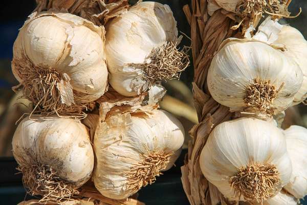 Um sorriso bonito não depende só dos hábitos de higiene bucal, mas também dos cuidados que temos com a alimentação e com a saúde. É por meio de vitaminas, minerais e do equilíbrio do organismo que nossos dentes ficam mais fortes e brilhantes.