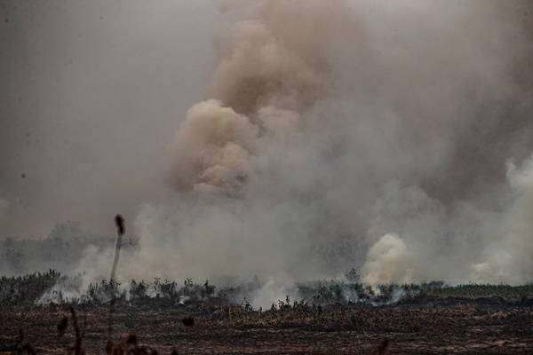 Mês de setembro bateu recorde no número de incêndios desde 1998