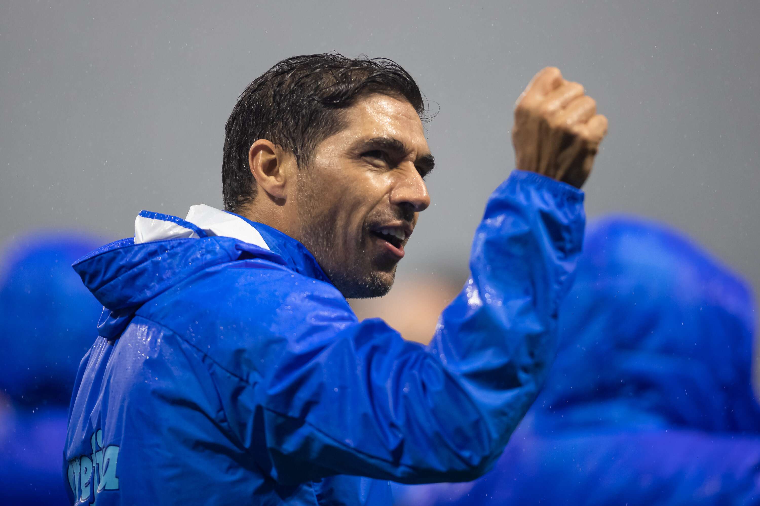 Abel Ferreira